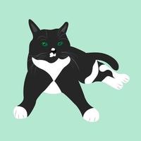 Realistic black and white cat with green eyes. vector