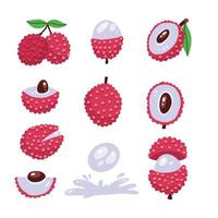 Big set if of lychee - tropical fruit. Modern flat vector style illustrstion. Summer food in different views and angles