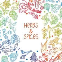 Hand-drawn herbs and spices in a doodle style. Elements in a circle on a white background. Rainbow. Handwritten lettering. Nuts, spices and herbs. Pepper peas. Flat style vector. vector