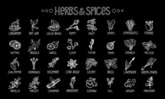 Herbs and spices icons, drawn element in doodle style. Template package design on a black background. Logo or emblem - herbs and spices - poppy, cashew, vanilla, anise, etc. Logo in fashion line vector