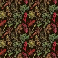 Seamless grass pattern, drawn element in doodle style. Silhouettes in rainbow colors n Herbs and spices - chili, vanilla, barberry, rosemary, bay leaf, etc. Pattern in a fashionable linear style. vector