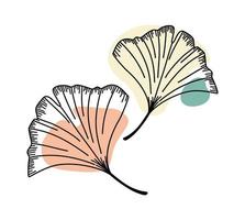 Ilustración de vector de silueta de hojas de ginkgo biloba. elementos florales contorneados negros con formas geométricas abstractas. impresión minimalista para la decoración del hogar.