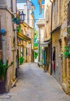 Typical italian cobblestone street with traditional buildings and houses with green plants photo