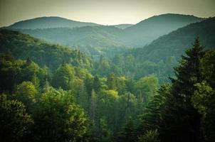 bosques y colinas verdes, parque nacional de los lagos de plitvice, croacia, europa foto