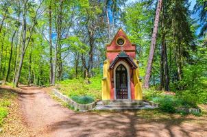 Ecce Homo chapel in Slavkov forest, beech trees with green leaves on branches photo