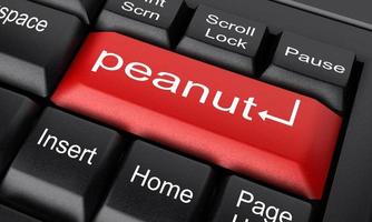 peanut word on red keyboard button photo