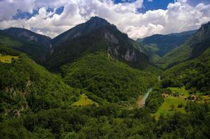 Mountain range and forests of Tara river gorge canyon, Montenegro photo