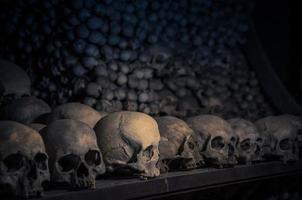 huesos y cráneos humanos. hilera de calaveras. colección de calaveras foto