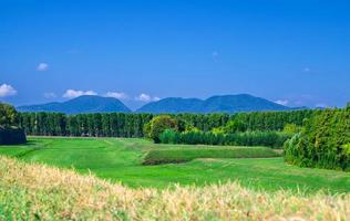 View of grass green field, trees and Tuscany hills photo