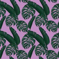 monstera and banana leafs seamless pattern design vector