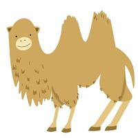 vector illustration of a camel in a flat style