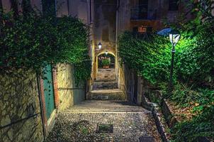 Cobblestone staircase with stairs, green trees and bushes, street lights photo