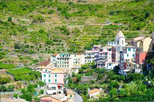 edificios típicos italianos casas y terrazas de viñedos verdes en el valle del parque nacional del pueblo de manarola cinque terre