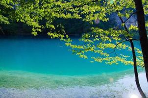 Lake with clear turquoise water, National park Plitvice Lakes, Croatia photo