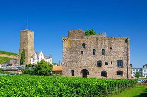 campo verde de viñedos, castillo medieval de piedra de las tierras bajas de bromserburg foto