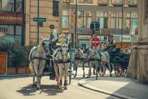 carruajes tirados por caballos en las calles modernas de Viena foto