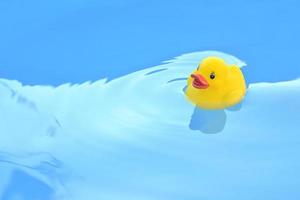 yellow rubber duck in blue water of bathtub photo