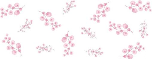 pink background flower, pink floral photo