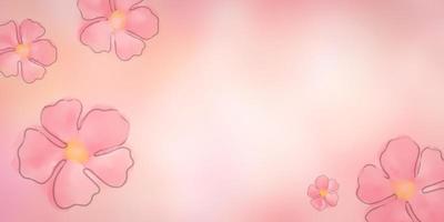 pink background flower, pink floral photo