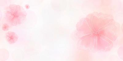 pink background flower, pink floral photo