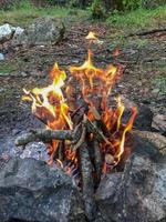 Burning fire in the fireplace, Campfire in forest photo