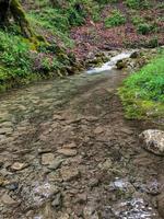 Waterfall in the forest, stream in the forest, river water in a forest photo