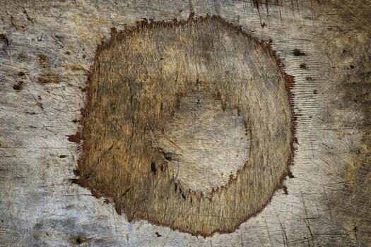 textura de tabla de cortar de madera contrachapada foto