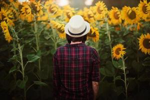 chica en campo de girasoles foto