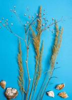 preparation for a future postcard. Dried flowers on a colored background photo