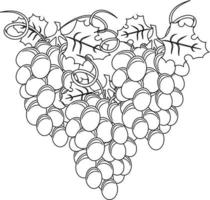 conjunto blanco y negro de uvas vectoriales vector