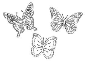 conjunto en blanco y negro de tres mariposas.ilustración vectorial de tres mariposas aisladas en fondo blanco vector