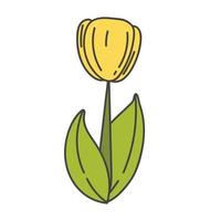 tulipán lindo de dibujos animados con ilustración de vector de tallo verde. Flores de primavera