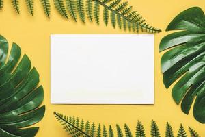 Tropical palm leaves frame with white paper in the center photo