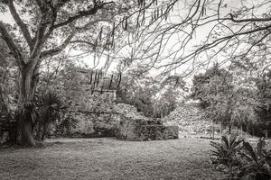 antiguo sitio maya con templo ruinas pirámides artefactos muyil mexico. foto