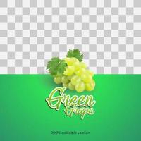 3d green grape vector