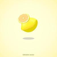 3d lemon slice icon vector