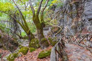 Sendero natural de madera para caminar, senderismo, mariposas, valle de las mariposas, rodas, grecia. foto