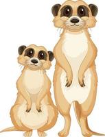 dos lindas suricatas en estilo de dibujos animados vector