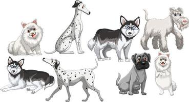 Set of white dogs in different breeds on white background vector