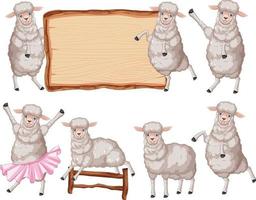 Set of different sheeps in cartoon style vector