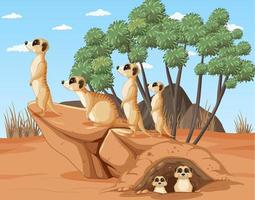 Desert background with a group of meerkats vector