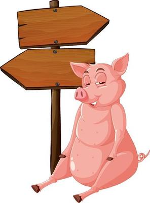 Isolated wooden signpost banner with pig