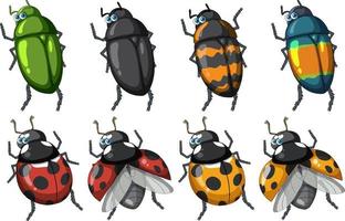 Set of different insects and beetles in cartoon style
