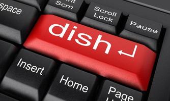 dish word on red keyboard button photo