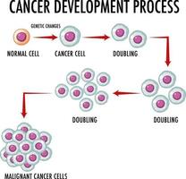 Cancer Devlopment Process infographic vector