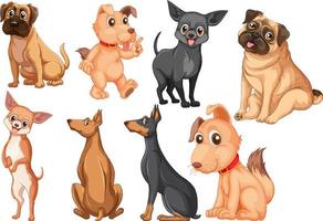 conjunto de diferentes razas de perros en estilo de dibujos animados vector