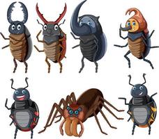 conjunto de diferentes insectos y escarabajos en estilo de dibujos animados vector