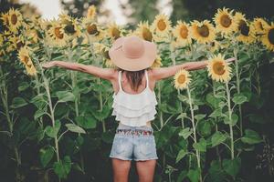 vista trasera, de, mujer joven, en, campo girasol foto