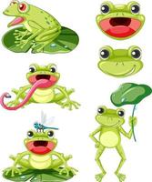 Set of different frogs in cartoon style vector