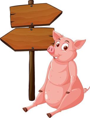 Isolated wooden banner with funny pig